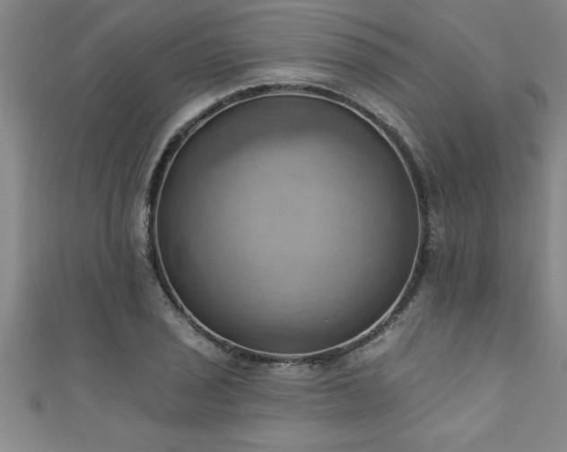 X0000111361029200907171159