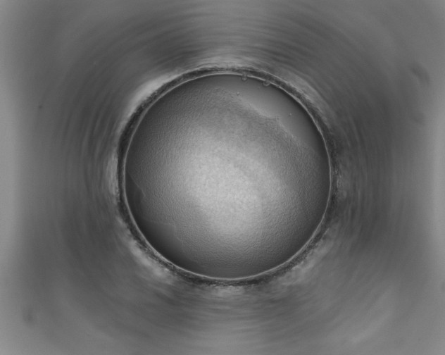 X0000111361030200907171159