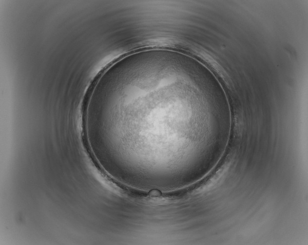 X0000111361034200907171159