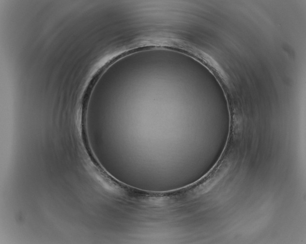 X0000111361035200907171159