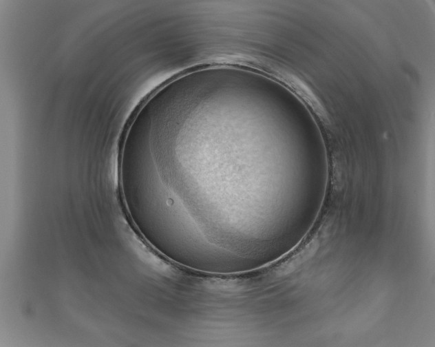 X0000111361036200907171159