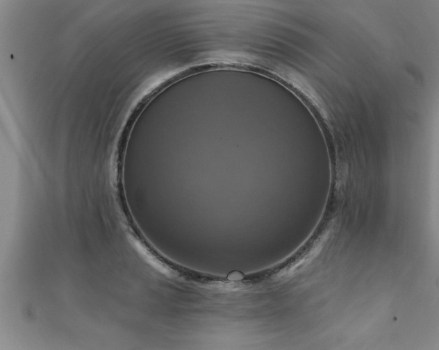 X0000111361037200907171159