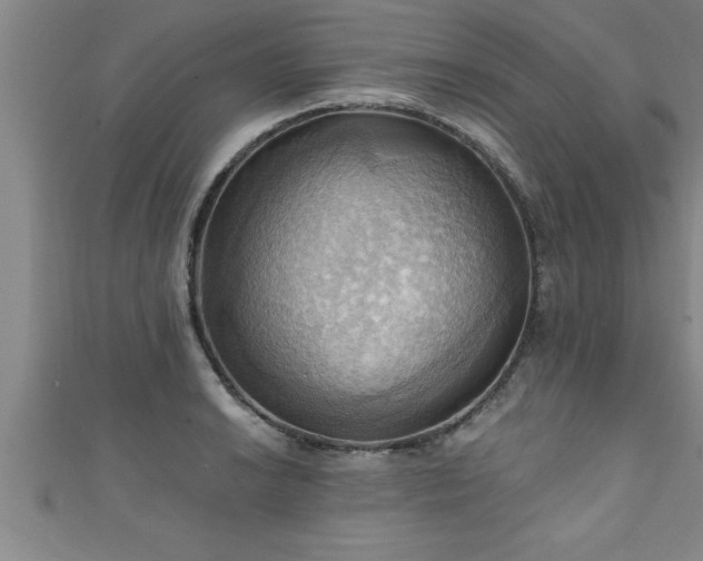X0000111361038200907171159