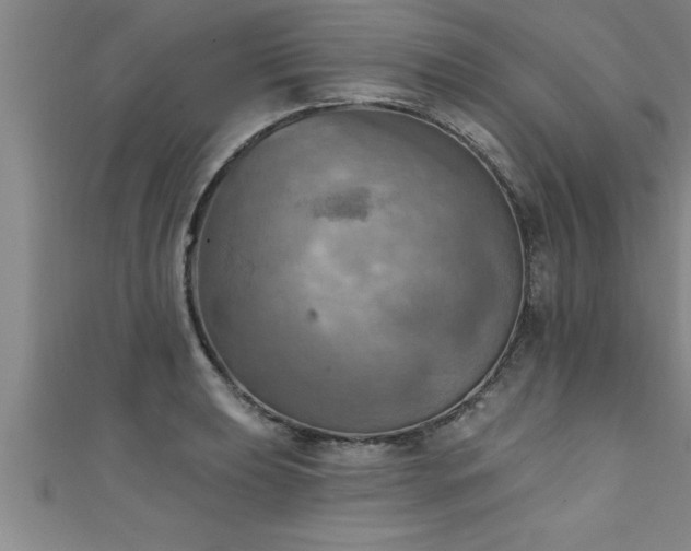 X0000111361039200907171159