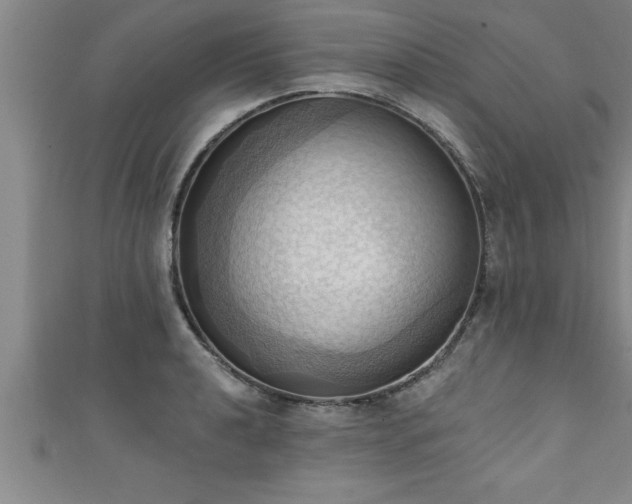 X0000111361040200907171159