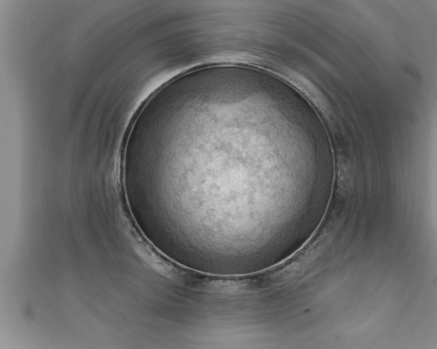 X0000111361044200907171200