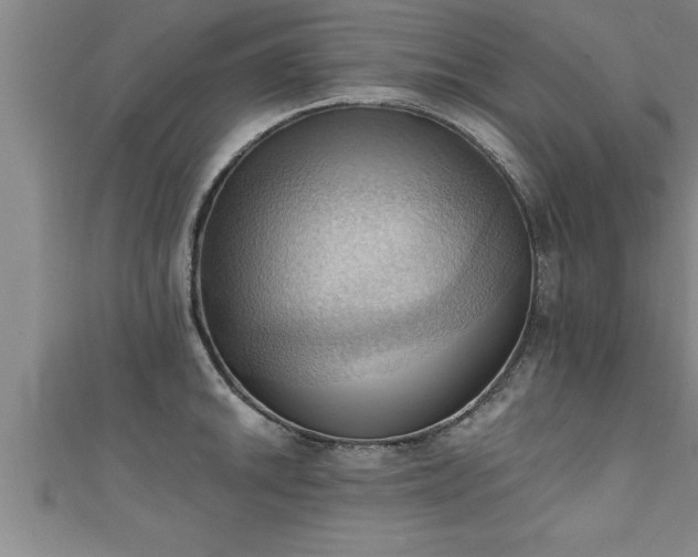 X0000111361046200907171200