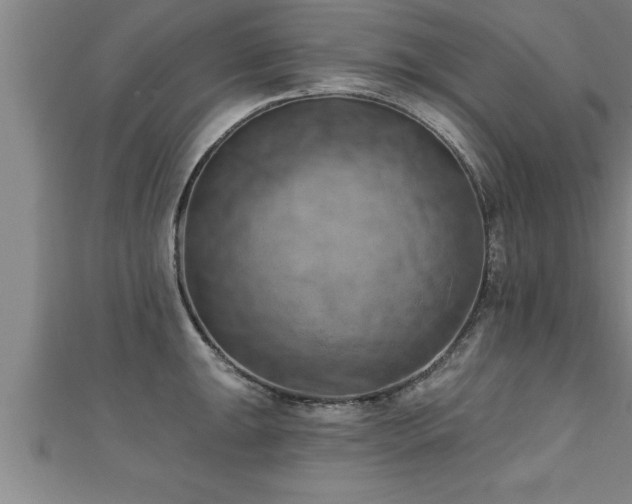 X0000111361047200907171200