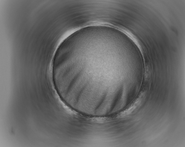 X0000111361053200907171200