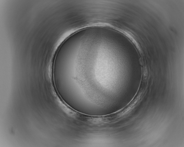 X0000111361054200907171200