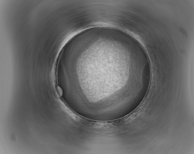 X0000111361056200907171200