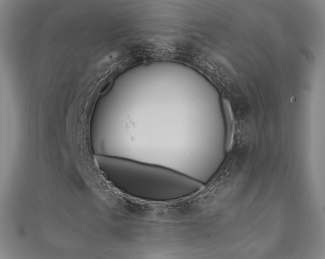 X0000111361057200907171159