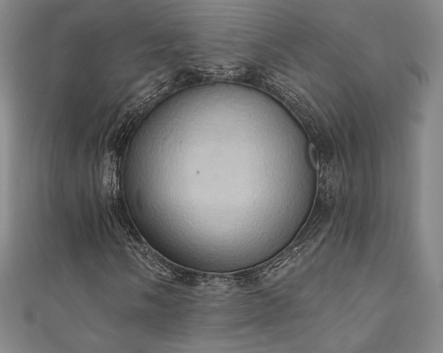 X0000111361058200907171159