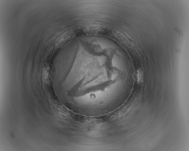 X0000111361059200907171159