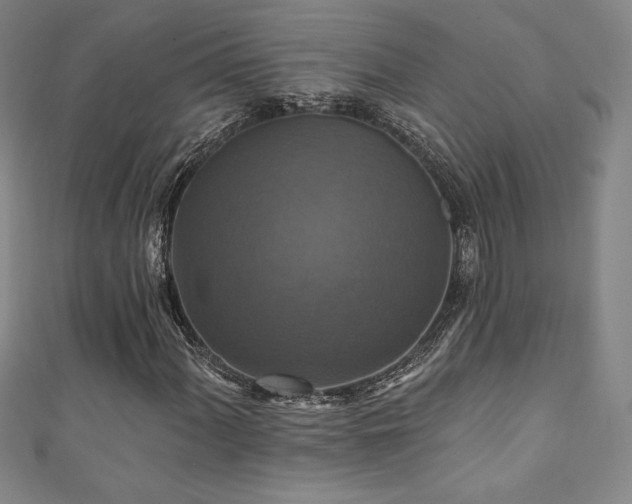 X0000111361060200907171159