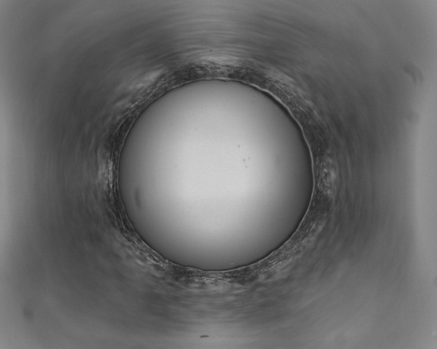 X0000111361061200907171159