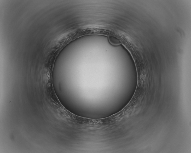X0000111361062200907171159