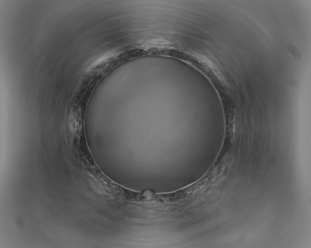 X0000111361063200907171159