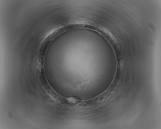 X0000111361064200907171159