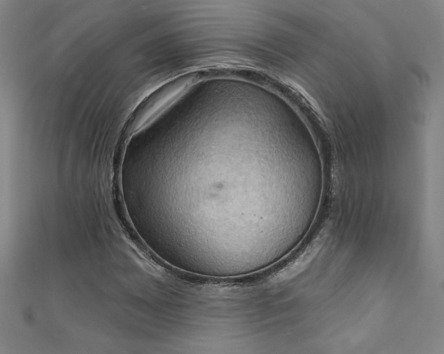 X0000111361065200907171159