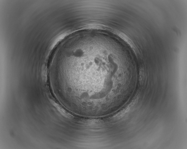 X0000111361067200907171159