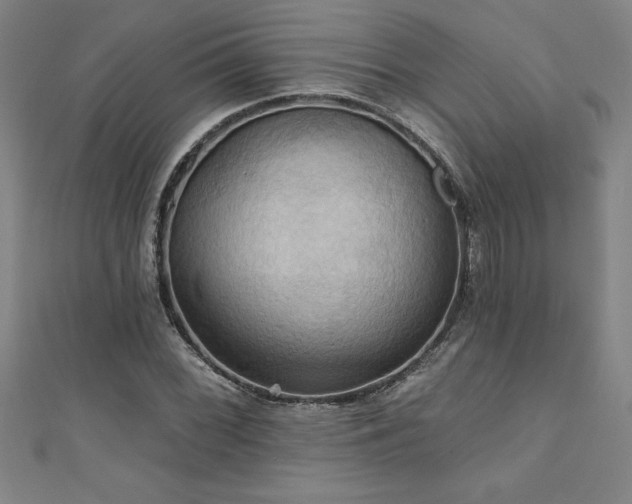 X0000111361068200907171159