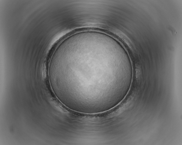 X0000111361069200907171159