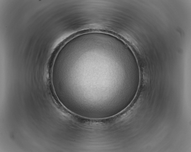X0000111361070200907171159