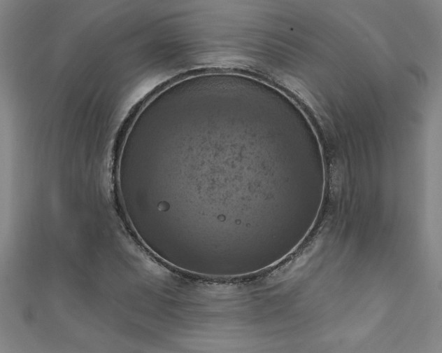 X0000111361071200907171159