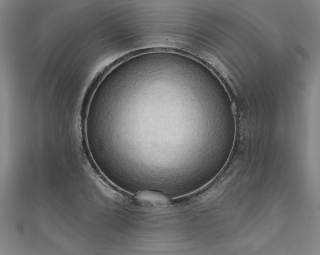 X0000111361072200907171159