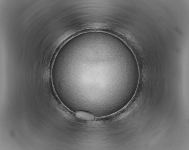 X0000111361073200907171159
