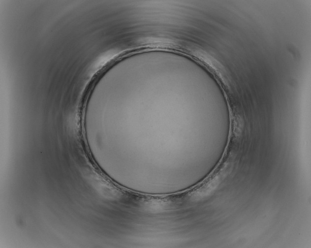X0000111361074200907171159