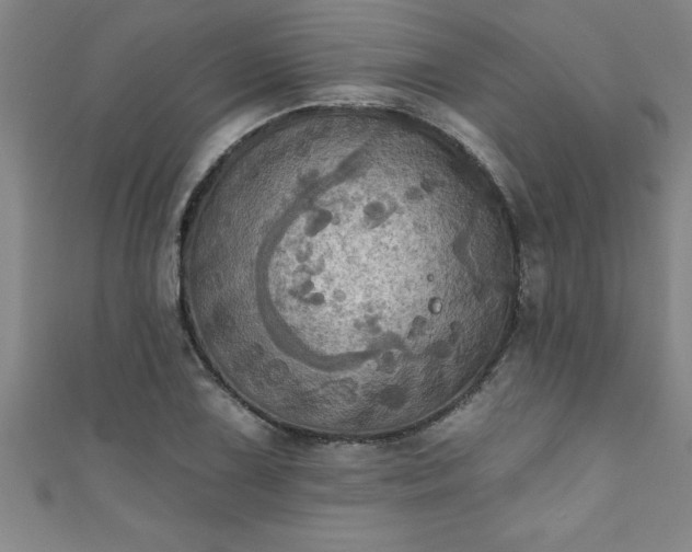 X0000111361075200907171159