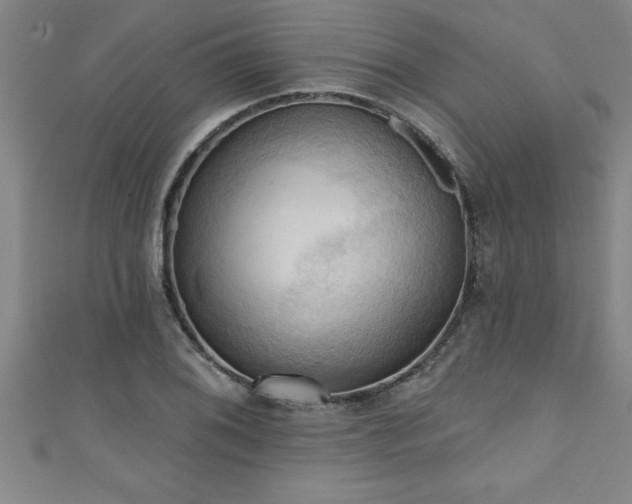 X0000111361076200907171159