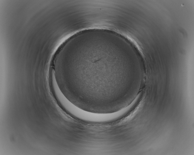 X0000111361077200907171159