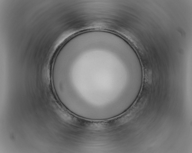 X0000111361078200907171159