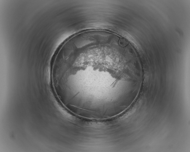 X0000111361079200907171159