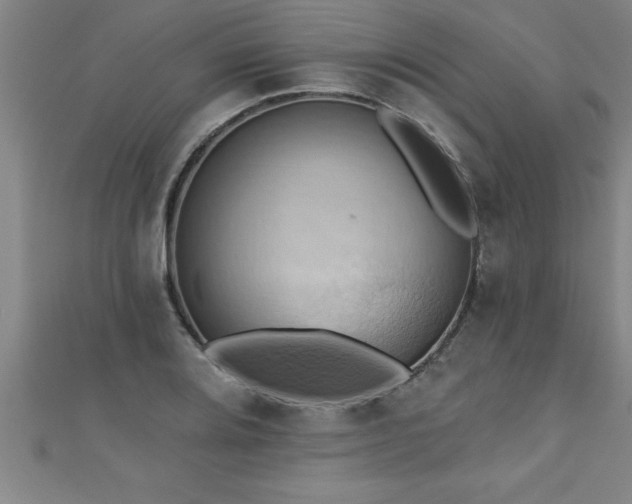 X0000111361080200907171159