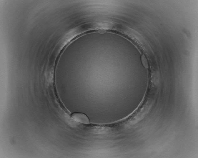 X0000111361081200907171159