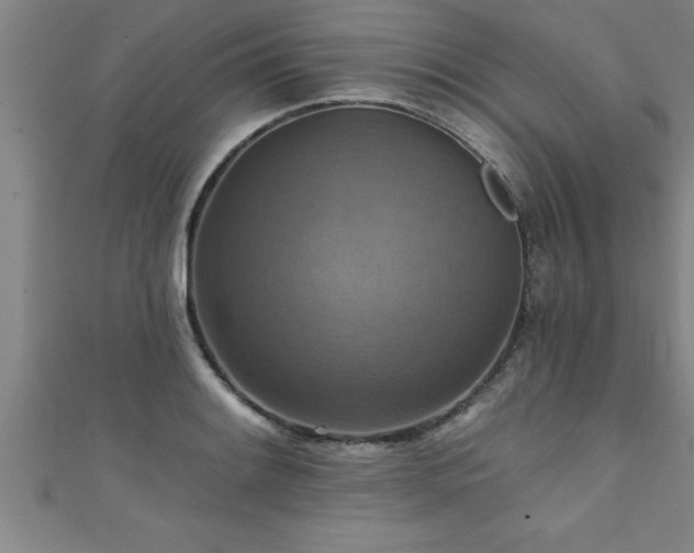 X0000111361084200907171159