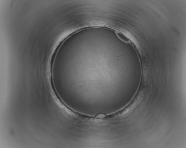 X0000111361088200907171158