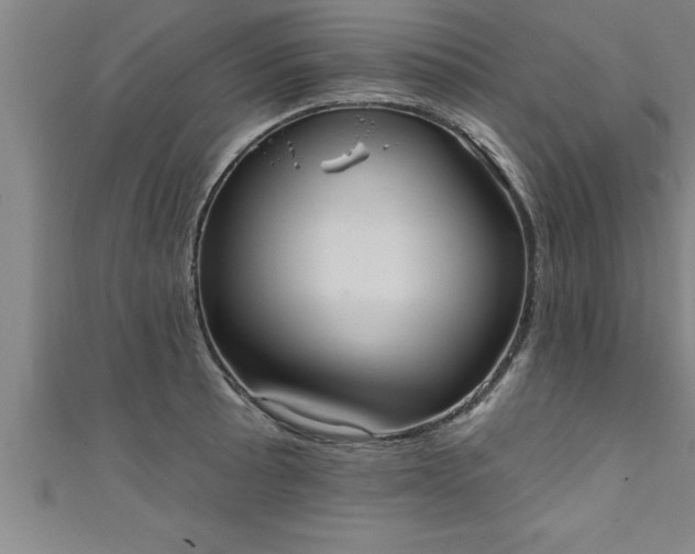 X0000111361089200907171158