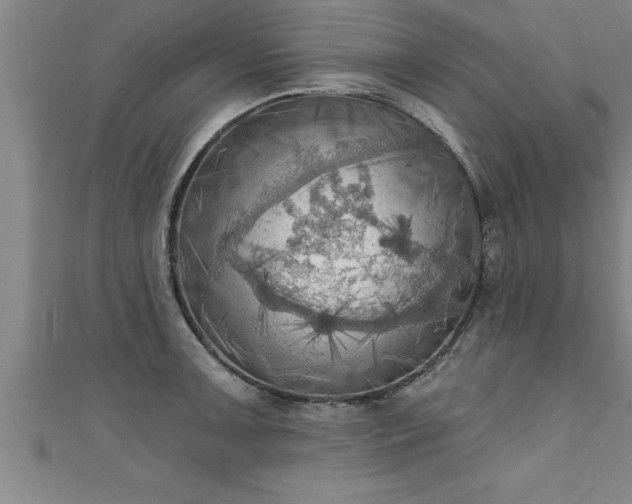 X0000111361091200907171158
