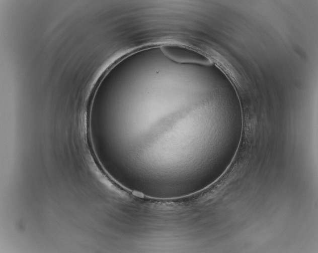 X0000111361092200907171158