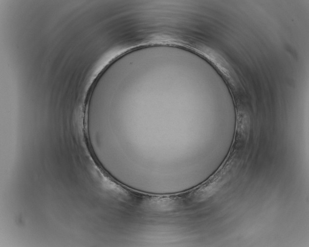 X0000111361094200907171158