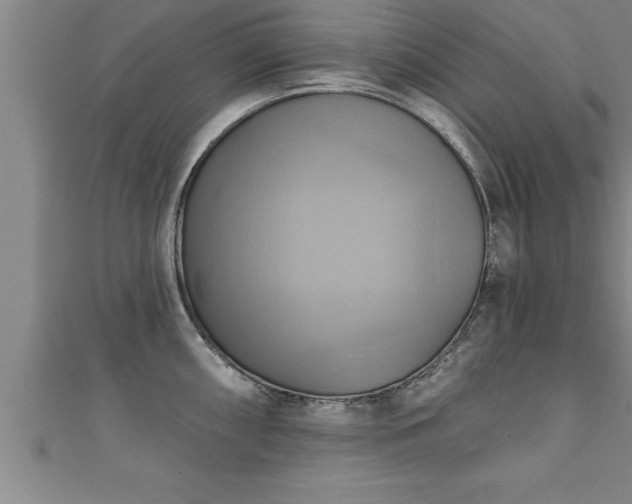 X0000111361098200907171158