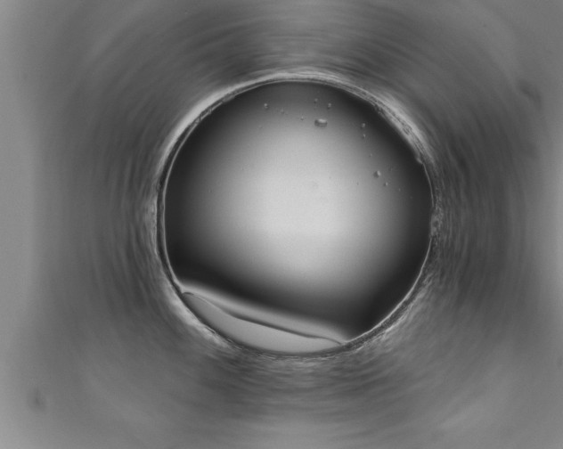 X0000111361100200907171158