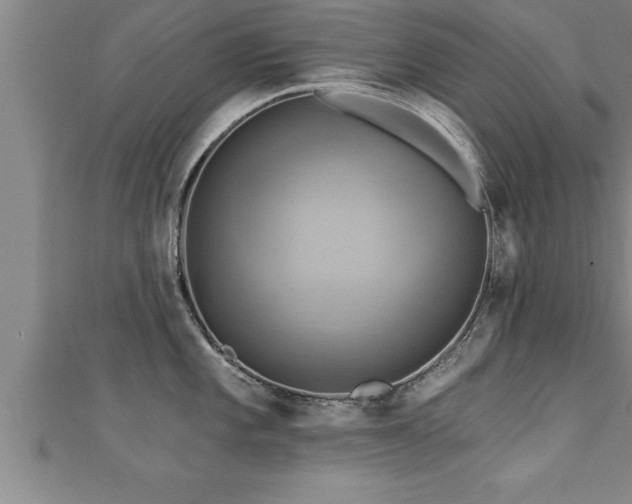 X0000111361101200907171158