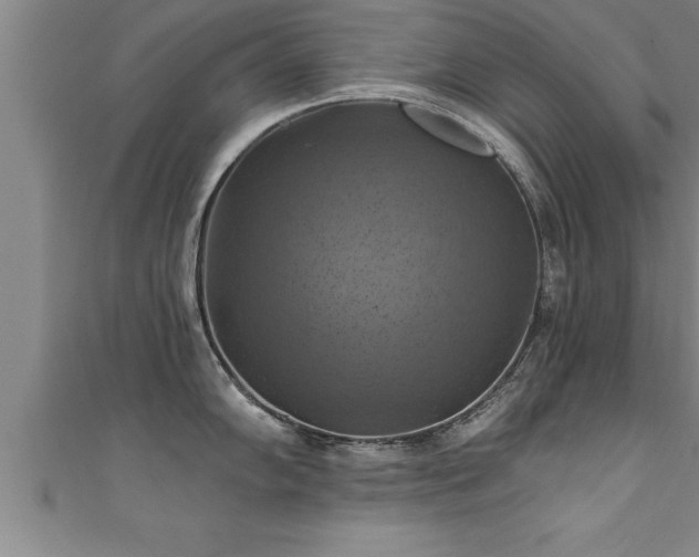 X0000111361102200907171158