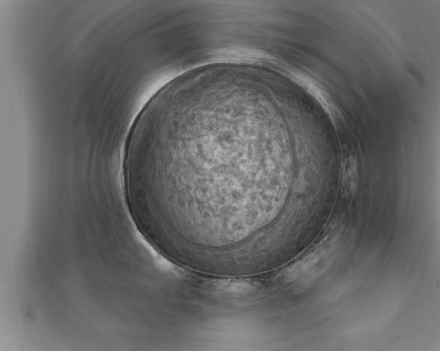 X0000111361103200907171158